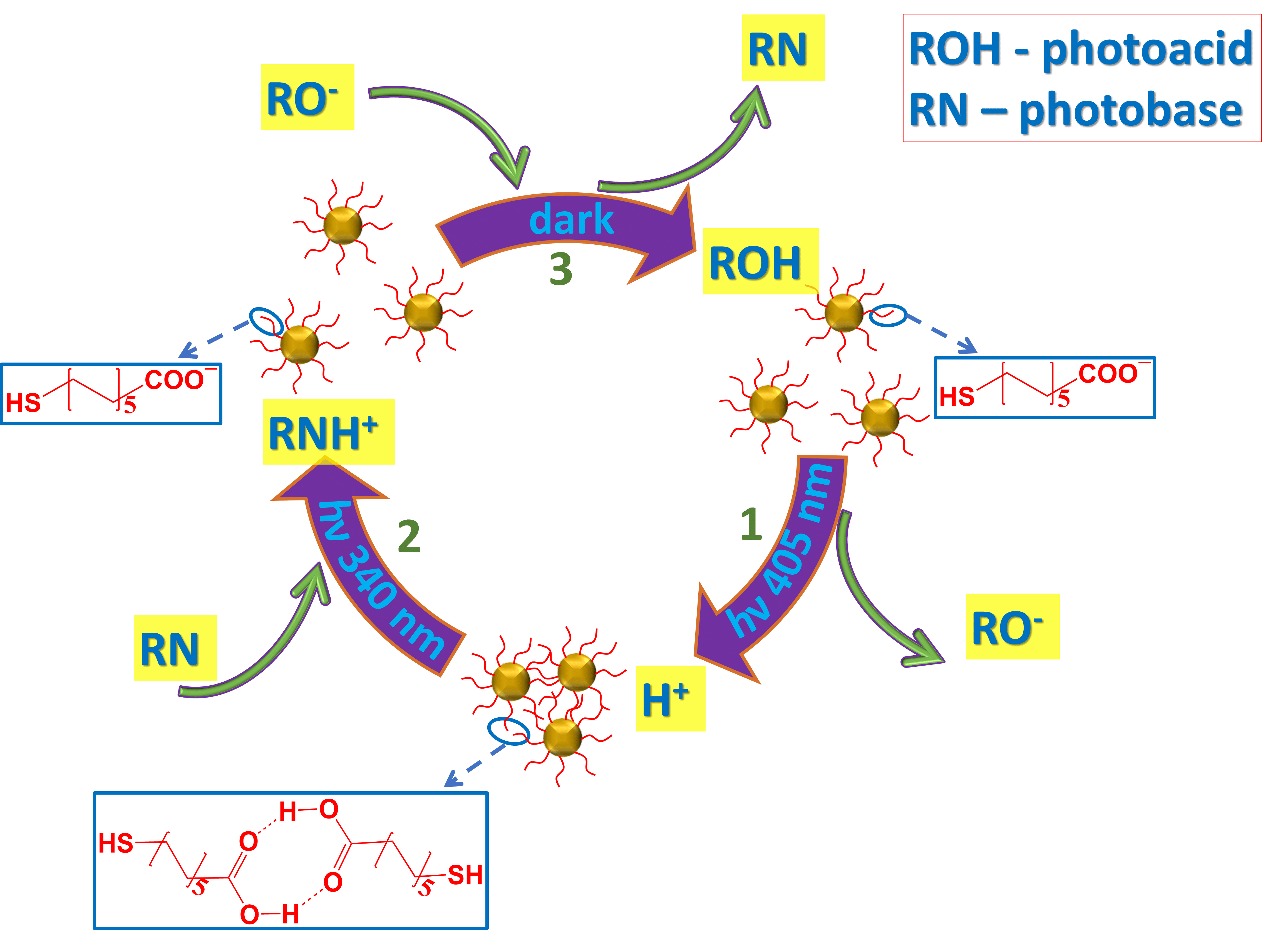 The scheme of  aqueous sysytem